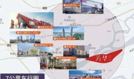 娱乐明星大爆料模板下载,明星大爆料背后的惊人真相